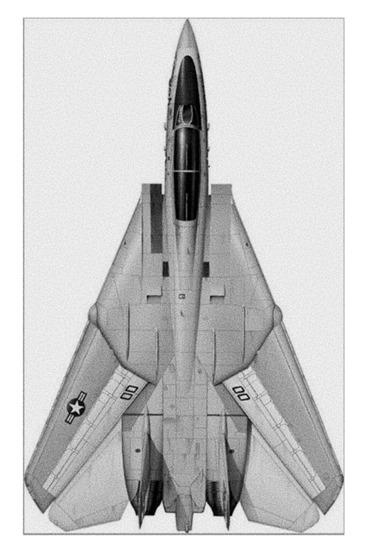 F14 Top View